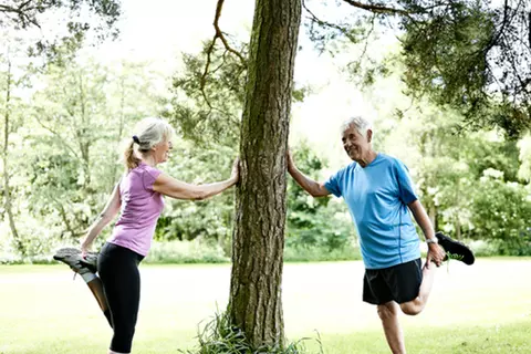 Zwei Menschen die sich am Baum halten und Dehnübungen machen